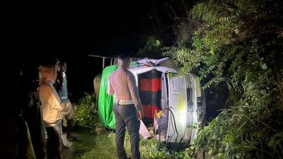 Kecelakaan Maut di Sumba Barat: Kerbau Meronta, Pick Up Oleng, 5 Nyawa Melayang, 11 Luka-luka
