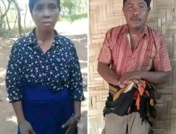 Mencekam! Ibu Hilang Diterkam Buaya, Anak Tewas Saat Pencarian