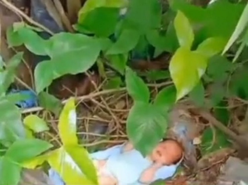 Tragis! Bayi Perempuan Ditemukan Terlantar dalam Kardus di Fatuleu-Kabupaten Kupang, Polisi Selidiki Pelaku