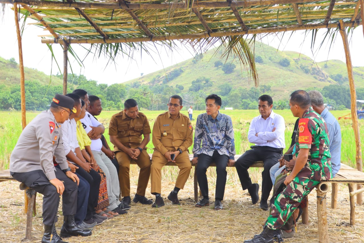 Percepat Realisasi Swasembada Pangan, Wapres Gibran Rakabuming Serap Aspirasi Petani di Kabupaten Sikka
