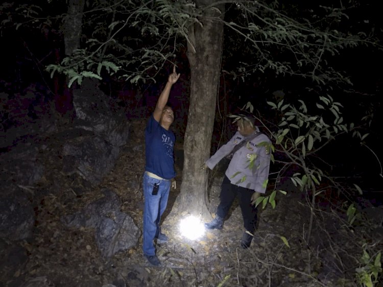Kakek 71 Tahun di Kupang Meninggal Tragis, Terjatuh Saat Memetik Asam di Kebun