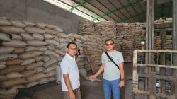 Sita Eksekusi Kasus Timah, Kejaksaan Sita Smelter Raksasa Milik Tamron di Pangkalpinang, Ada 100 Ton Balok Timah dan 300 Ton Lada