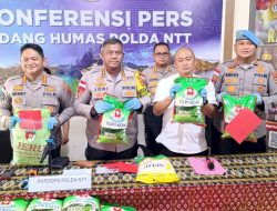 Terbongkar Praktik Curang Perdagangan Beras di Kupang, Dua Kasus Diungkap Polda NTT