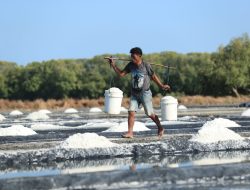 Salt Triangle Bipolo-Sabu-Rote Dinilai Layak Jadi Lumbung Garam Nasional, Terbaik Dunia