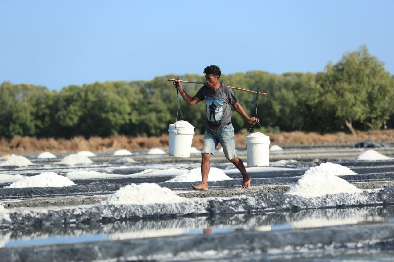 Salt Triangle Bipolo-Sabu-Rote Dinilai Layak Jadi Lumbung Garam Nasional, Terbaik Dunia