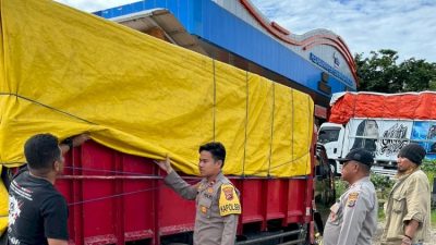 Truk Ekspedisi Angkut 2,8 Ton Sopi dari Sabu Raijua Disergap Polisi di Pelabuhan Bolok