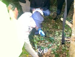 Istri Histeris Temukan Suami Gantung Diri di Pohon Cengkeh