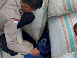 Truk Bermuatan Moke Disergap di Bolok, Ribuan Liter Miras Ilegal Disita Polisi