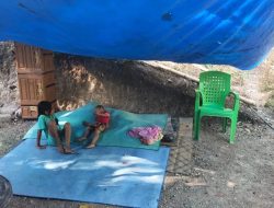 Cerita Nikolaus saat Gempa Besar Hantam NTT, Berlari Gendong Anak sembari Hindari Tembok yang Roboh